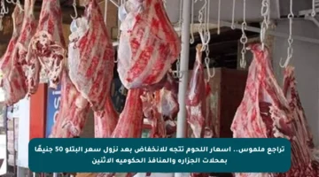 تراجع ملموس.. أسعار اللحوم تتجه للانخفاض بعد نزول سعر البتلو 50 جنيهًا بمحلات الجزارة والمنافذ الحكومية الاثنين